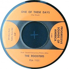 ROOSTERS One Of These Days / You Gotta Run (Progressive Sounds Of America PSA 1151) USA 1966 45